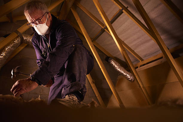 Best Insulation Maintenance and Repair in Burnt Mills, MD